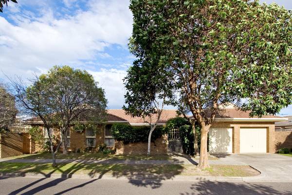 Family Feast of Function AND Fun Picture 1