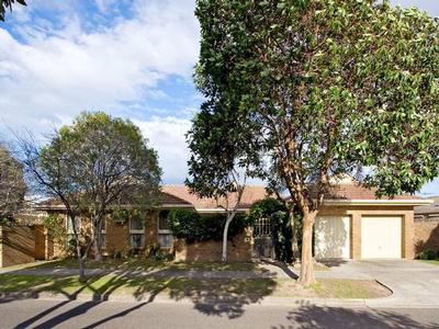 Family Feast of Function AND Fun Picture Family Feast of Function AND Fun Picture