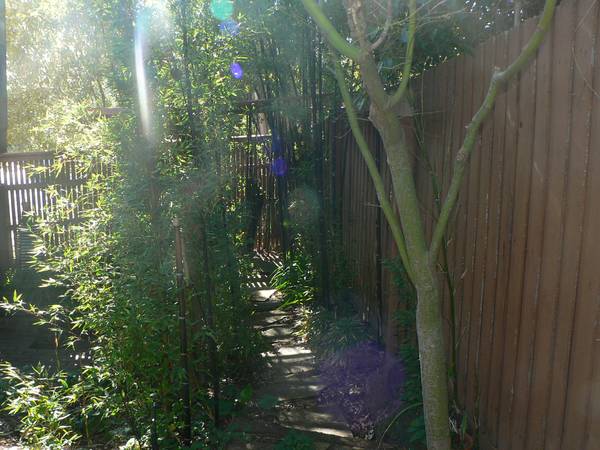 Nest or Invest Picture 2