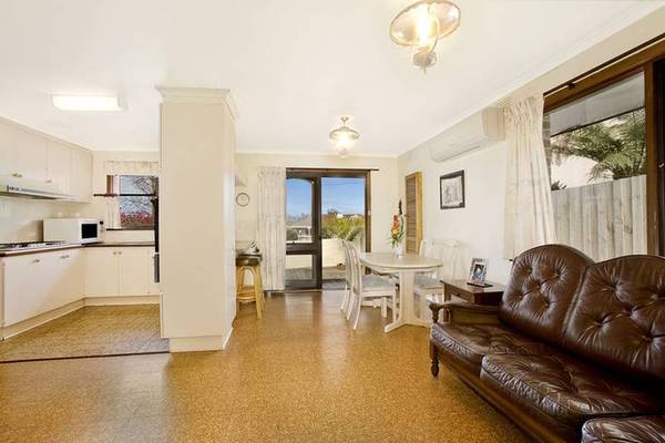 Spoilt for Choice Picture 3