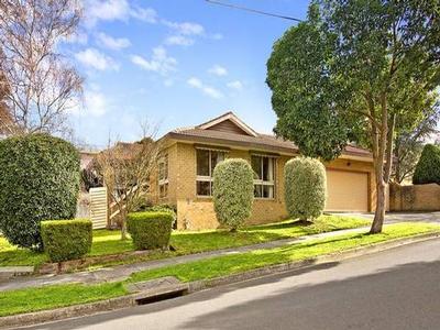 Spoilt for Choice Picture