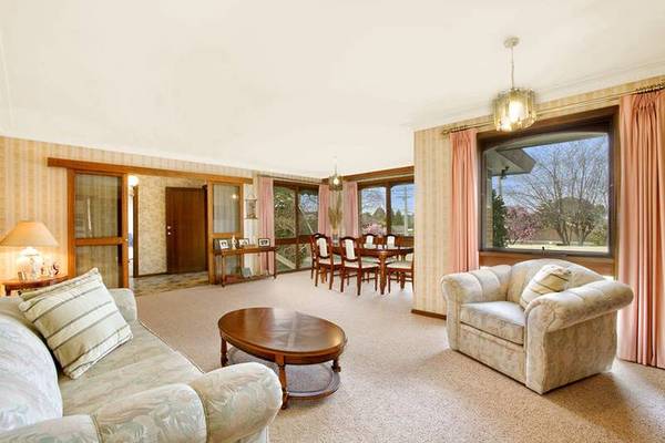 Spoilt for Choice Picture 2