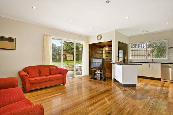 Attention-Seeker in Top Location Picture