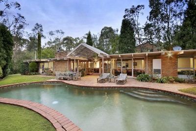 Designed by Nature Picture