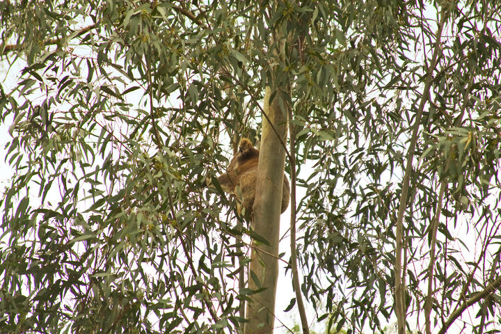 Designed by Nature Picture 2