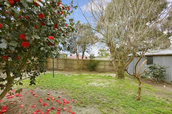 Vendor Says Sell! Picture Vendor Says Sell! Picture