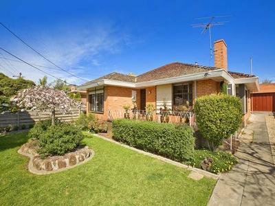 Lifestyle Appeal, Family Essentials! Picture