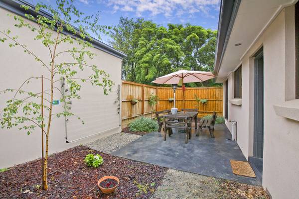 Pick of the Bunch Picture