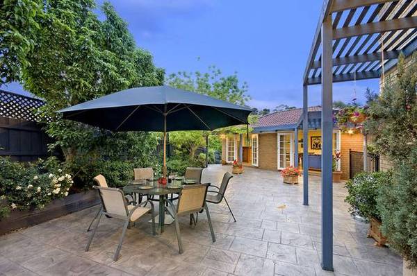 A Surprise Package with More than Meets the Eye! Picture