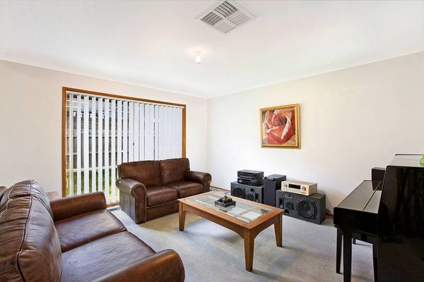 A Winner for the Beginner Picture 2