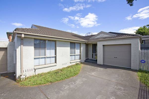 A Winner for the Beginner Picture 1