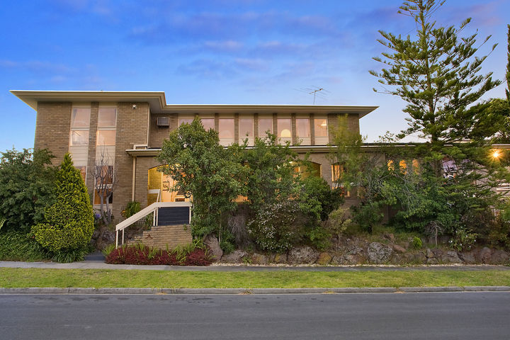 Entertainers Delight Picture 1