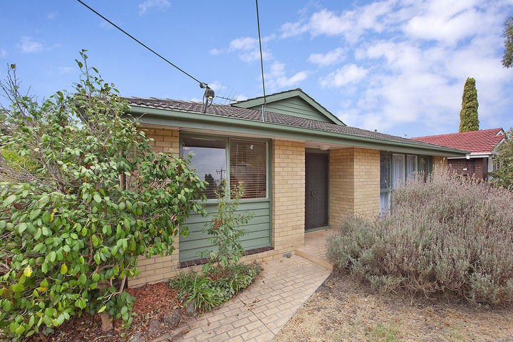 School at the End of the Street Picture 2