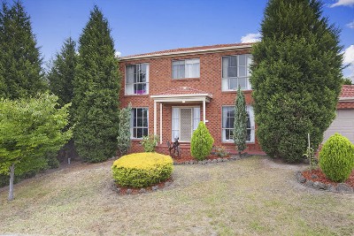 Head-of-Court
Designer
Location Picture