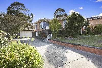 Diverse Options on 915sqm Picture