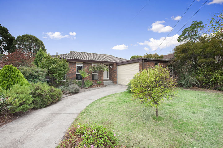 Spacious Family-Friendly Court-Style Setting Picture 1