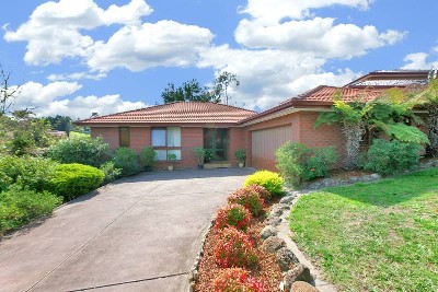 AUCTION POSTPONED Picture