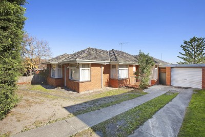 Sensational Starter or Ripper Renter Picture