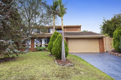 Abundance of Land & Space for the Family Picture