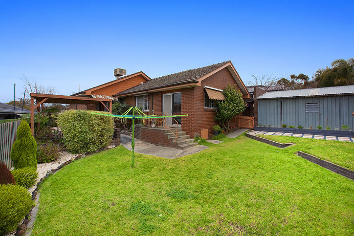 ALL Your Needs and Wants! Picture 3