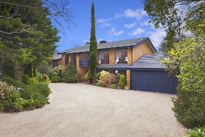 Rare Mountain-Scapes from Exclusive Serpells Acre Picture