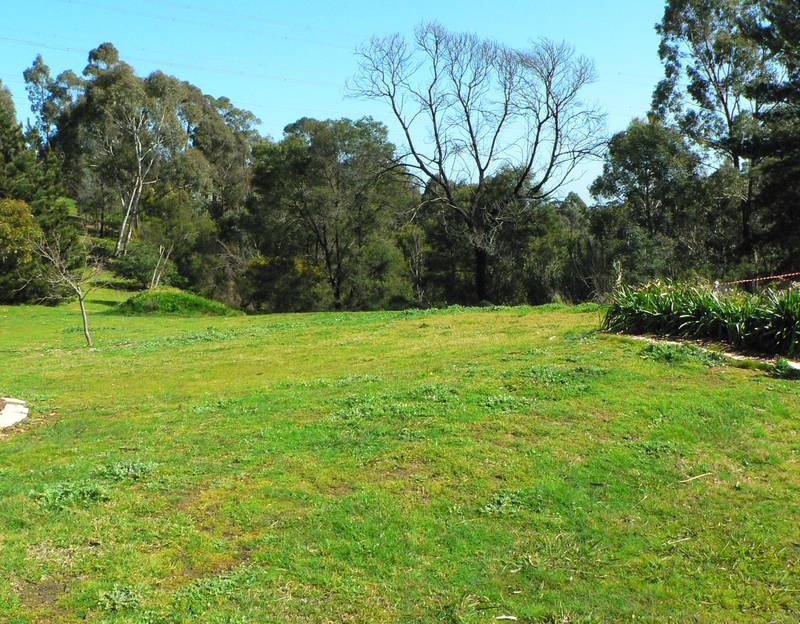 Acre Opportunity Picture 3