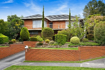 Marvall Darvall Picture Marvall Darvall Picture