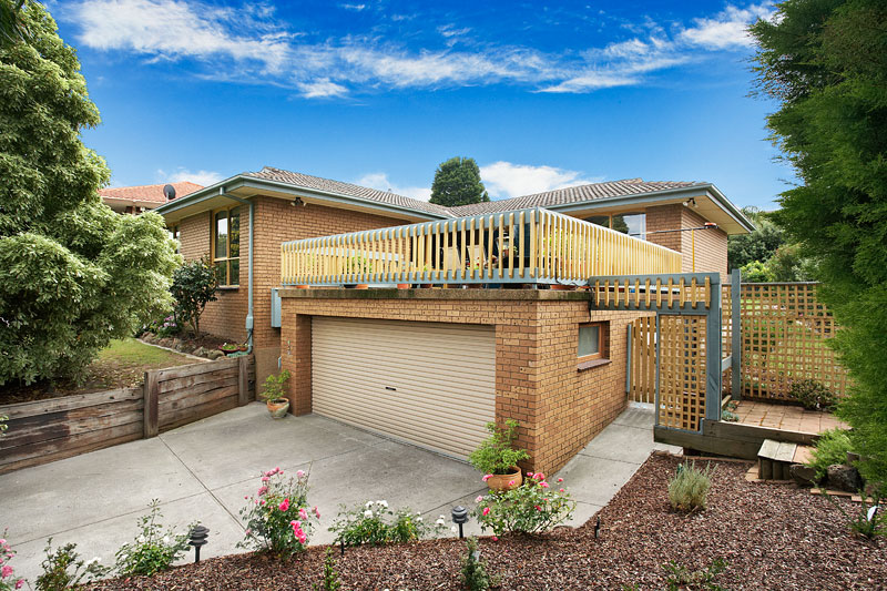 Vendor Says SELL! Picture 1