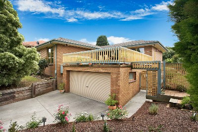 Vendor Says SELL! Picture