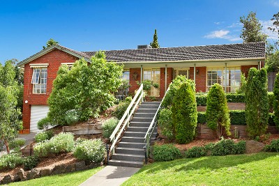 Doncaster East Supreme! Picture