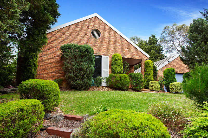 Step Inside! A Surprise Package Picture 3