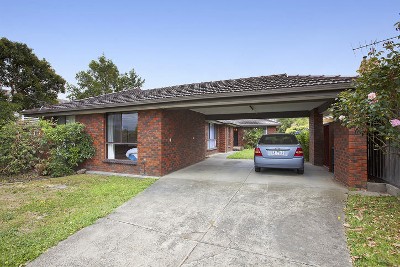 Bring The WHOLE Family Picture Bring The WHOLE Family Picture