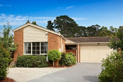 Pristine Package in Peaceful Court Picture