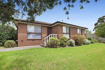 Superb Opportunity Picture