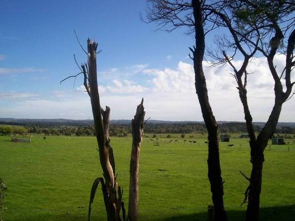 Perfect as Your Beach House or a Homestead to Settle in for a Long & Happy Life Picture 2