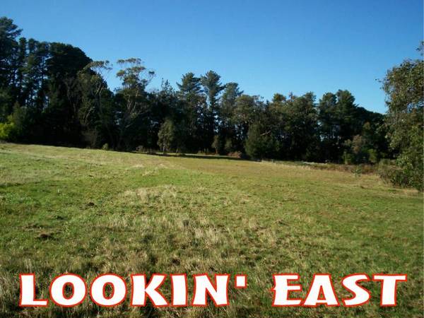Lookin' West . . . Do You Search for a Rarely Found 2.5 Acre (approx.) Cleared Lot to Suit Your Country Dream Home? Picture 2
