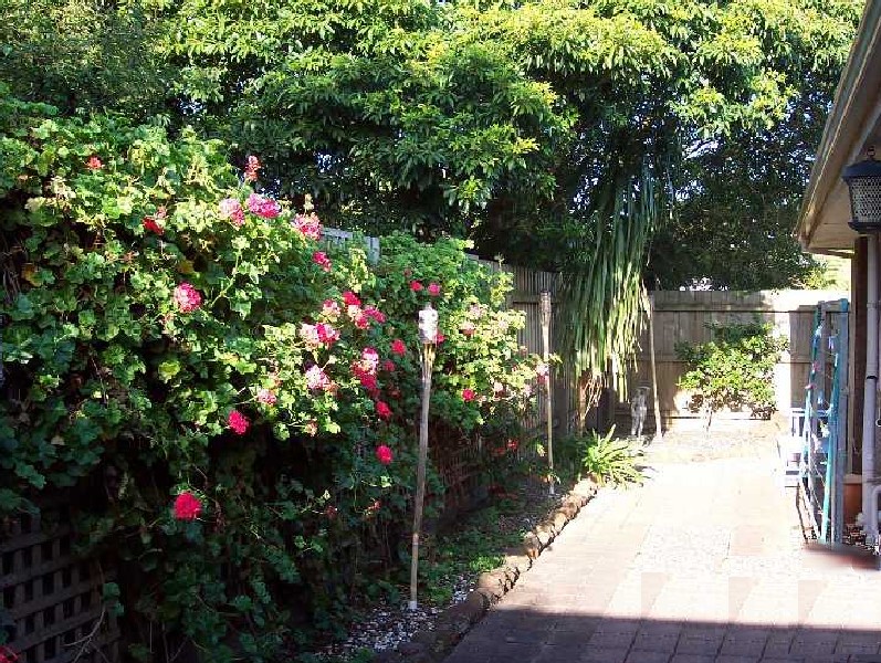 Are You
Still on the Hunt for a Villa that's Bright & Sunny?
Private Rear & Side Yard Picture 3
