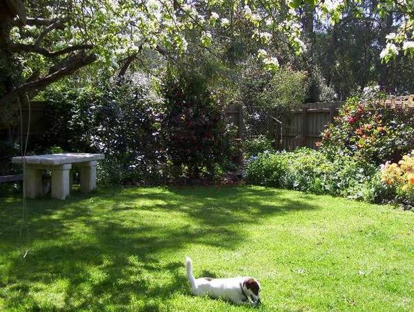 Have You Noticed a Touch of Spring in the Air ? . . . It's all Abloom of Magic at Beauford Cottage Picture