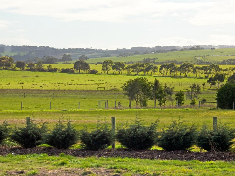 Couldn't You Picture Your Beachside / Rural Dream Home Right Here? Vacant Land - 1 Hectare : 2.47 Acres Picture 1