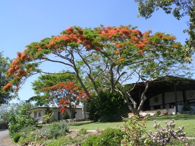 HOME WITH EXTRAS - SECURE A BARGAIN Picture