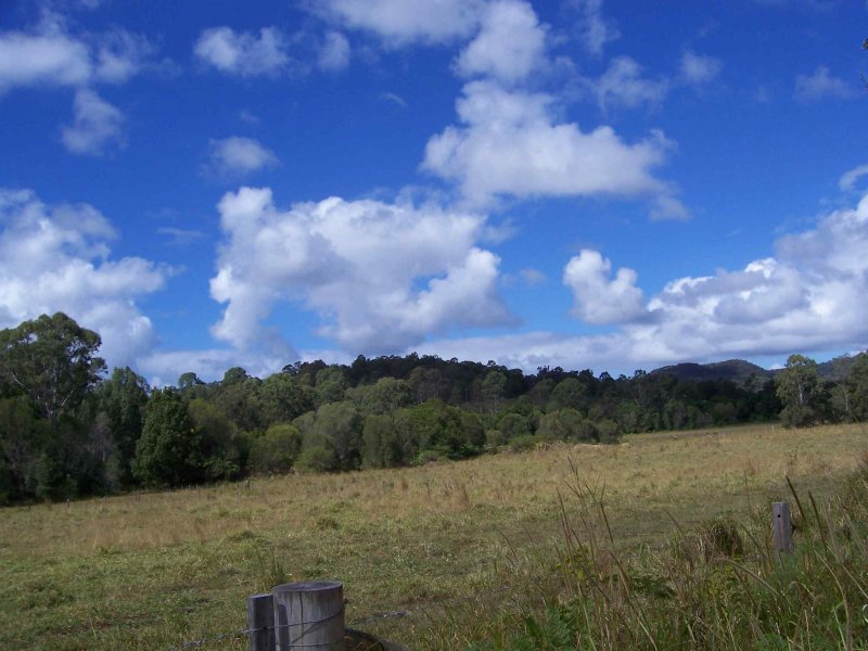 Rural 250 Acres Picture 3