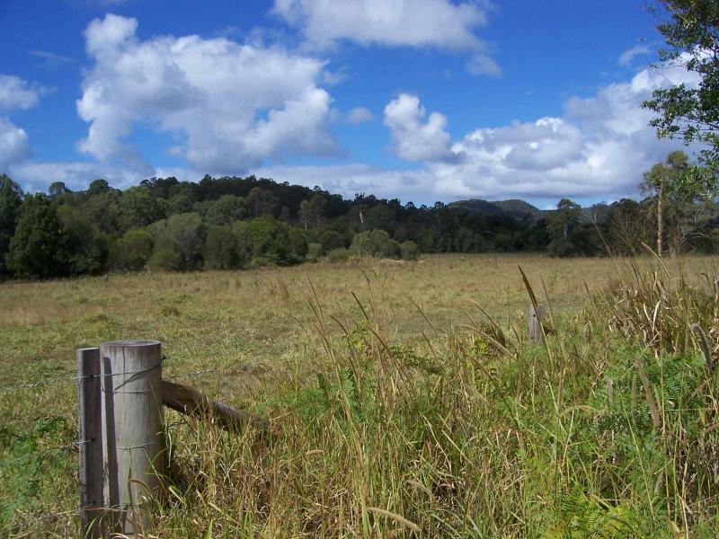 Rural 250 Acres Picture 2