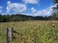 Rural 250 Acres Picture Rural 250 Acres Picture