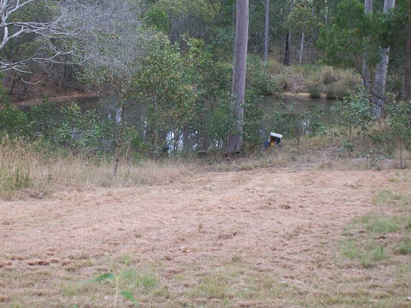 Set amongst the gum trees Picture 2