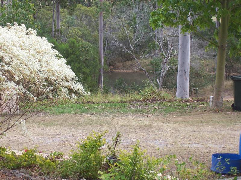 Set amongst the gum trees Picture 3