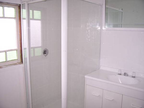 IDEAL STARTER Picture 3