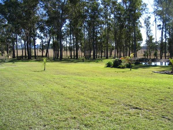 Surround Yourself In Nature Picture 3