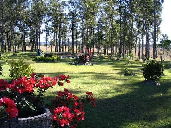 Surround Yourself In Nature Picture 2