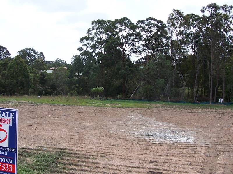 NATURAL BACKDROP Picture 2