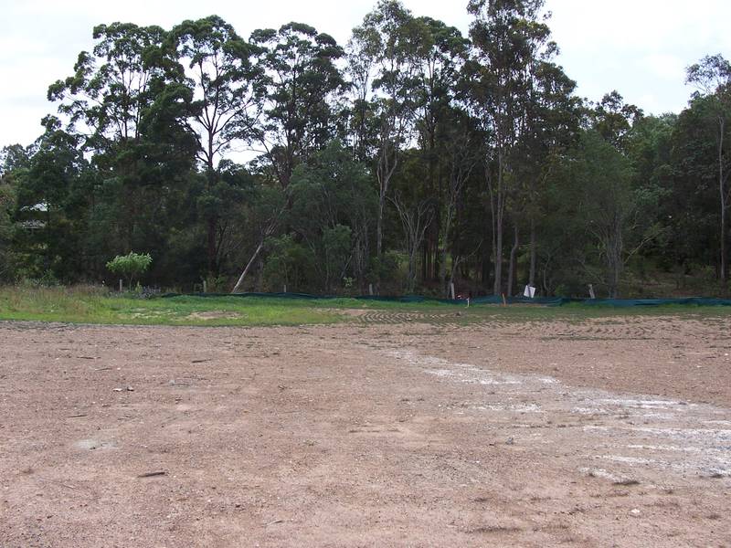 NATURAL BACKDROP Picture 1